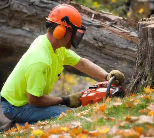 tree services Middle River